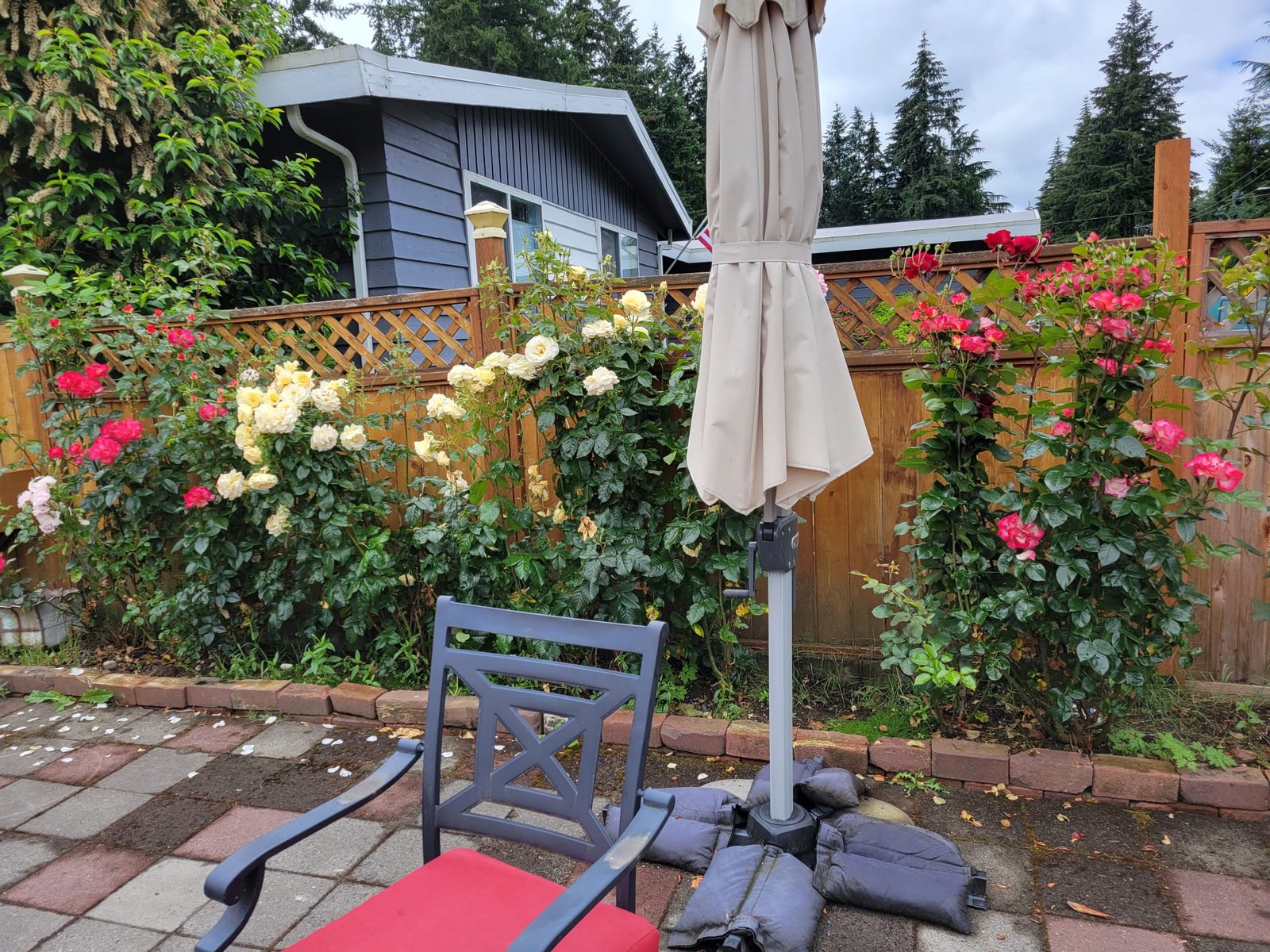 WhatsApp Image 2025-05-08 at 16.23.08_127125f3