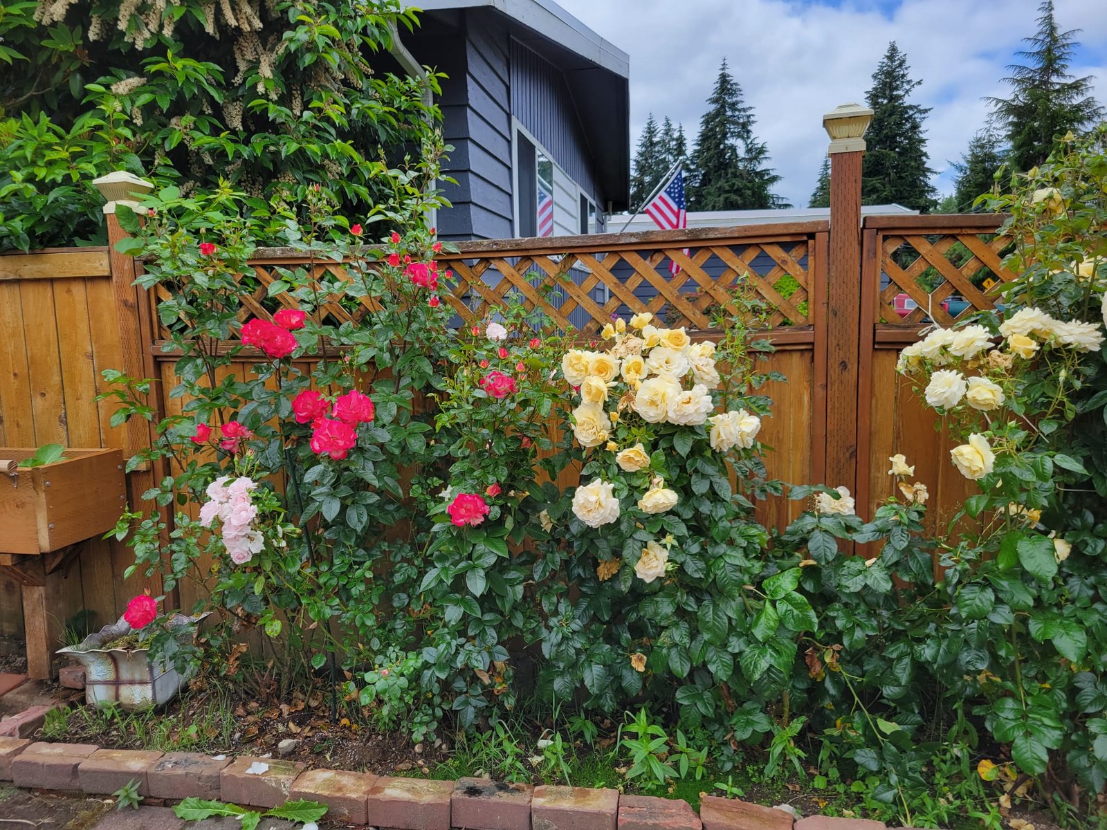 WhatsApp Image 2025-05-08 at 16.23.08_4bb406ee